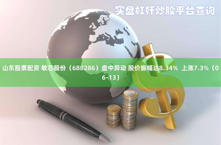 山东股票配资 敏芯股份（688286）盘中异动 股价振幅达8.34%  上涨7.3%（06-13）