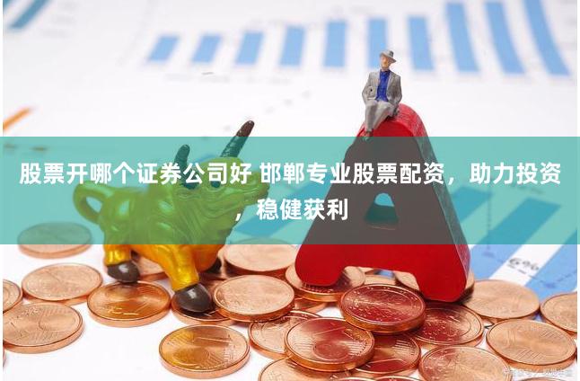 股票开哪个证券公司好 邯郸专业股票配资，助力投资，稳健获利